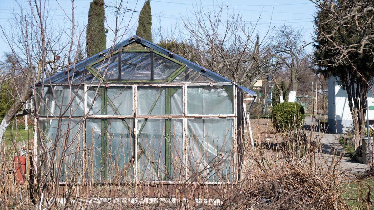 Co kontrolują urzędnicy?