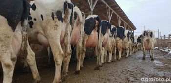 Kary dla rolników 2025. Sankcje sięgną nawet 60 tys. zł