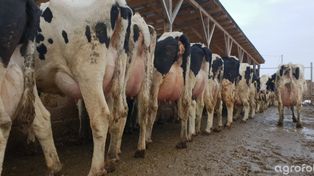 Kary dla rolników 2025. Sankcje sięgną nawet 60 tys. zł