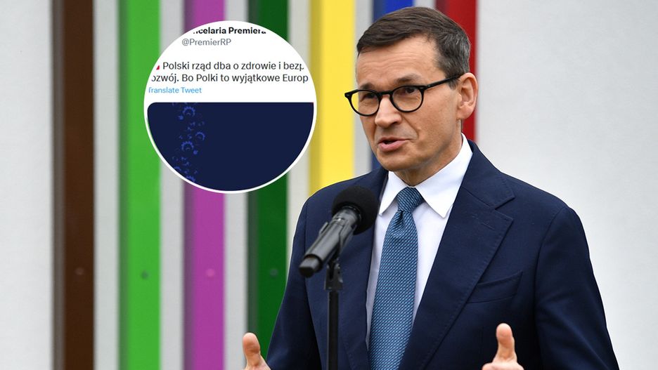 sklejka 