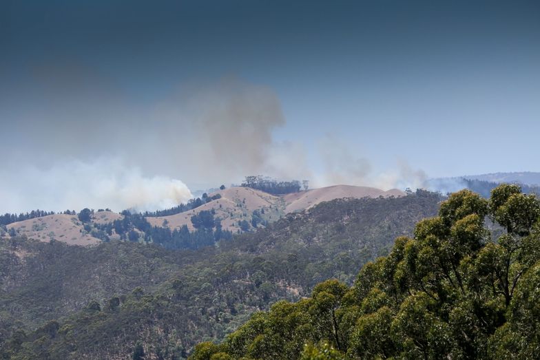 Pożar buszu na południu Australii. Chcą okiełznać ogień przed powrotem upałów
