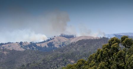 Pożar buszu na południu Australii. Chcą okiełznać ogień przed powrotem upałów