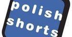 Stoisko "Polish Shorts" na festiwalu we Francji