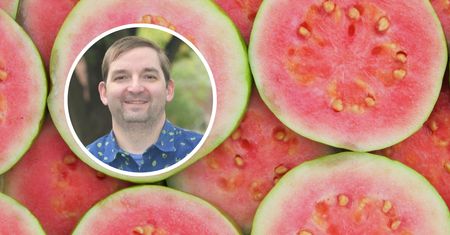 Nowe badania dotyczące raka wątroby. Naturalny składnik może pomóc w walce z chorobą