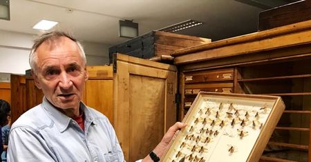 Czekał 72 lata, żeby zobaczyć ukryty przez ojca skarb