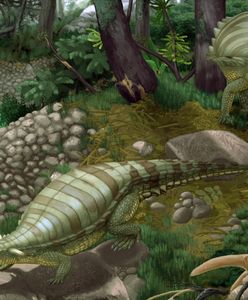 Niezwykłe odkrycie. Znaleźli szczątki nieznanego gada w Kocurach