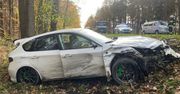 Kobiór: Wyjeżdżając z drogi leśnej, spowodował wypadek