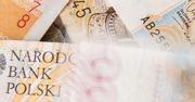 Złoty najsilniejszy od miesiąca. Oto co się stało z polską walutą