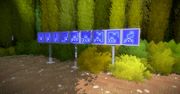 Warto zagrać w The Witness? Tak. Ale co to za gra? Pozwólcie, że wyjaśnię