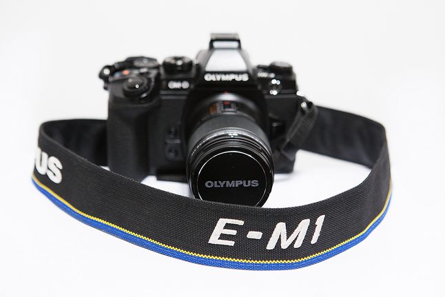 Olympus OM-D E-M1 + Olympus M. Zuiko ED 60 mm f/2.8 Macro
