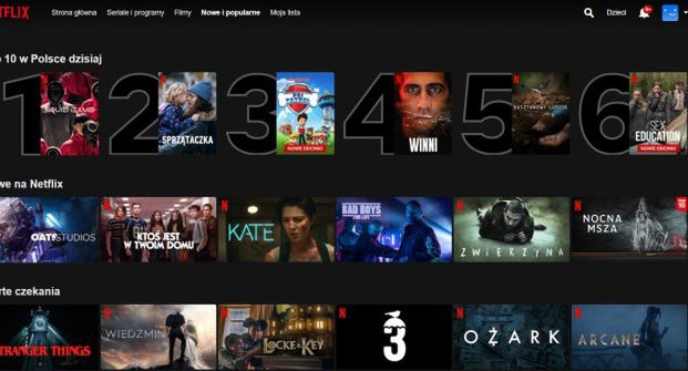Zaskakująca propozycja rządu Słowenii. Powstanie unijny Netflix?