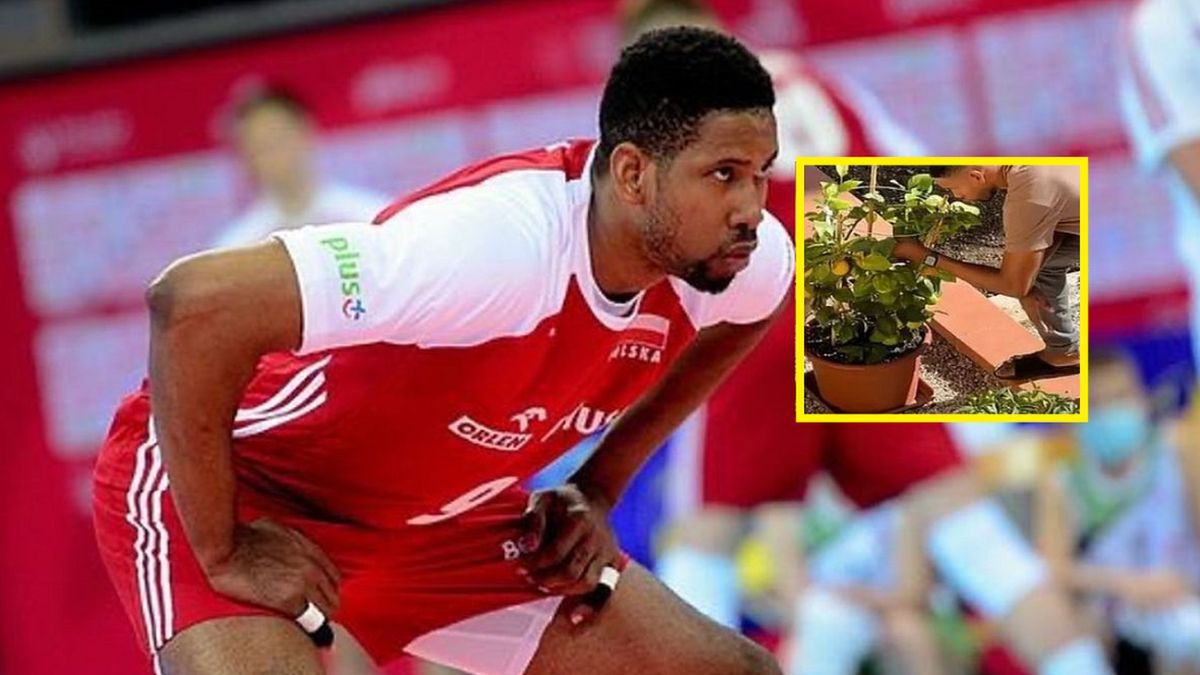 WP SportoweFakty / Paweł Piotrowski/ www.instagram.com/wilfredo_leon_official / Wilfredo Leon