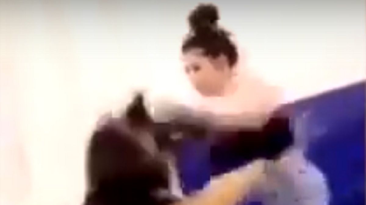 Kobieta biła psa w rękawicach bokserskich. Została oskarżona.