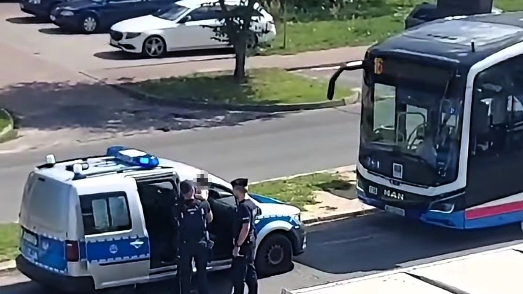 policja