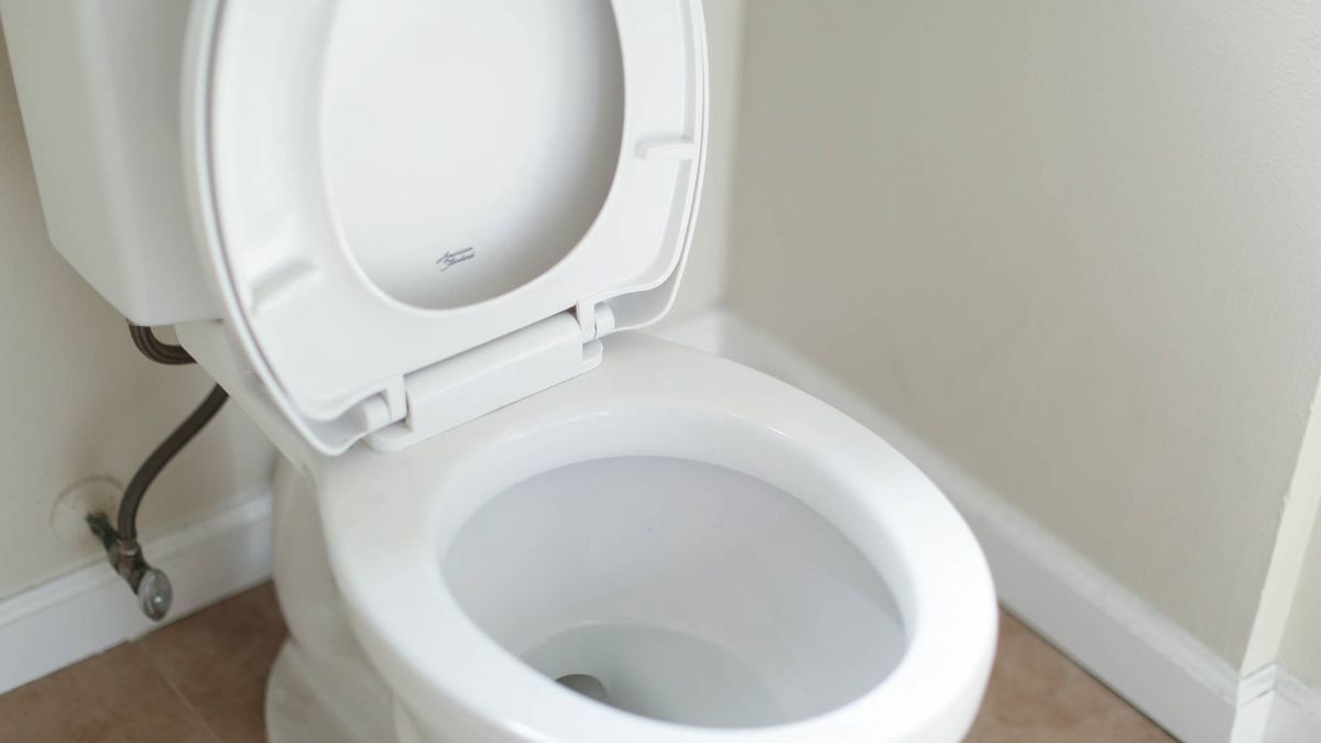 Ukryta funkcja deski sedesowej 