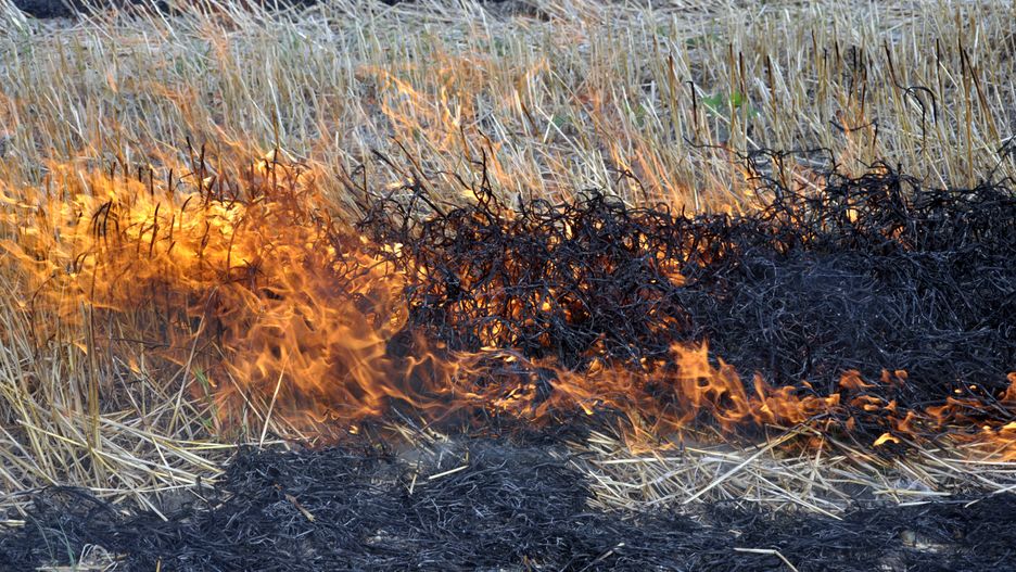  Pożar zboża i słomy w powiecie mogileńskim