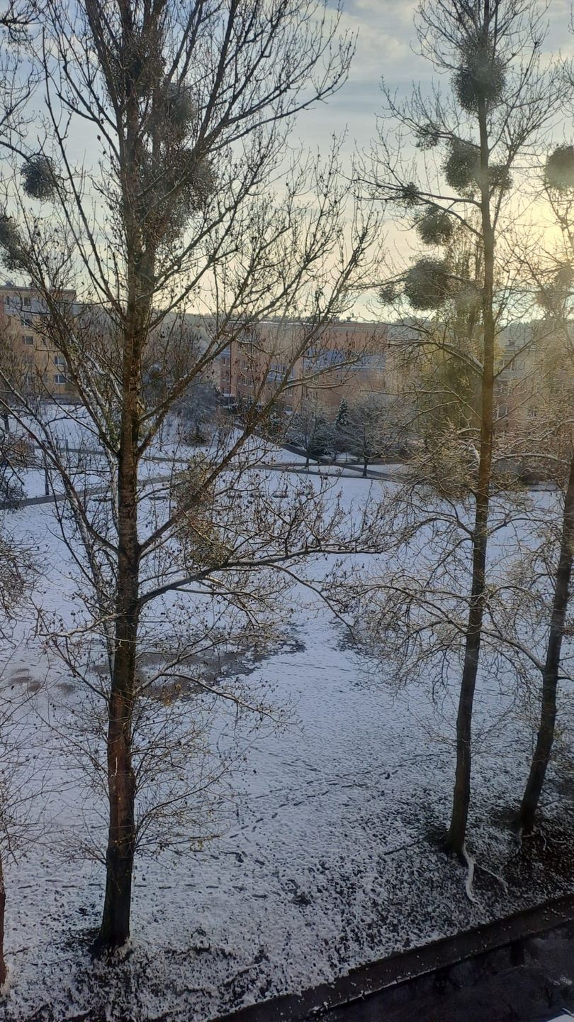 Śnieg w Olsztynie