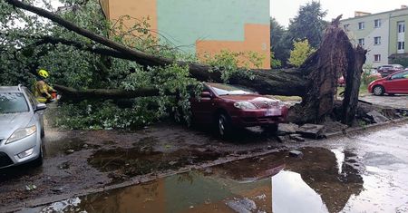 Połamane drzewa, zalane piwnice, zerwane dachy. 380 interwencji straży po burzach na Lubelszczyźnie