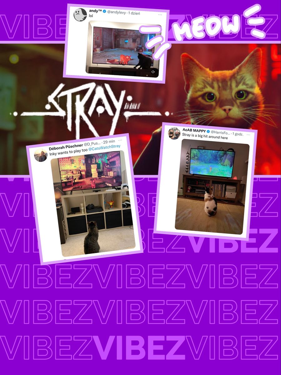 "Stray": gra o kotach, przyciąga... prawdziwe koty przed ekrany