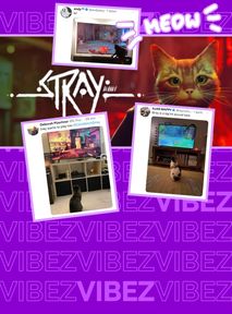 "Stray", gra o kotach, przyciąga… KOTY przed ekrany 🐈