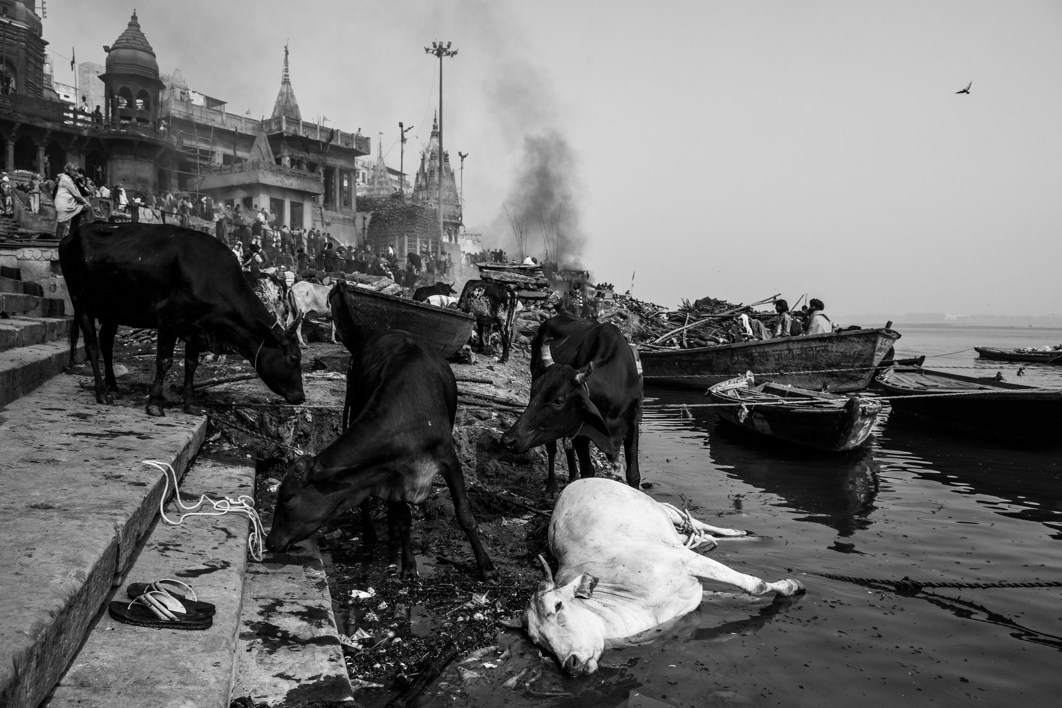 Tam, gdzie życie spotyka się ze śmiercią. Święte miasto Varanasi w obiektywie Szymona Barylskiego 11