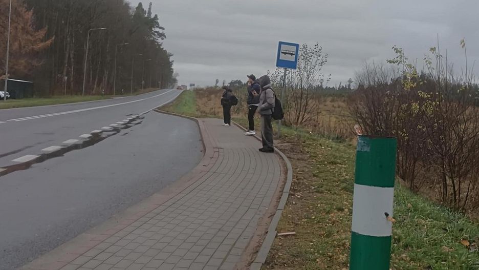 Paulina Peciak - Nazarewska