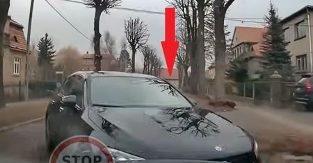 Nagrało się. Filmik z Mercedesem w roli głównej obiega internet
