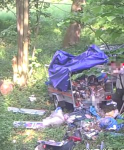 Dolny Śląsk. Leśne brudasy złapane w fotopułapkę. Pójdziemy po nich sprzątać