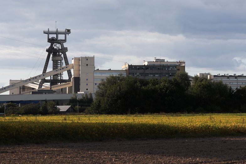 Bogdanka ma nowego prezesa. Wraca po ośmiu latach przerwy