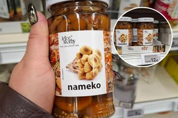 Podgrzybki poszły w odstawkę? Znalazłam w Auchan japoński przysmak w słoiku