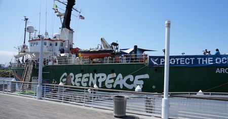 Miliarder pozywa Greenpeace USA. To może doprowadzić do bankructwa