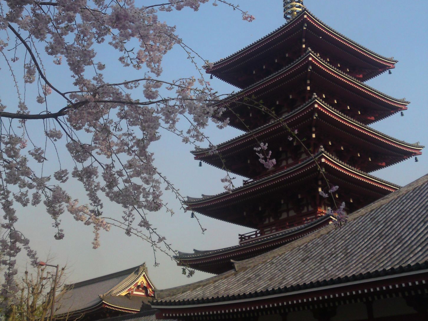 Xperia Z1 Compact vs stare sony ericssony - zaskakujące wyniki fotoporównania 34