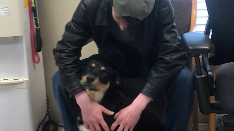 Przyszedł oddać psa. Nie spodziewał się takiego zakończenia