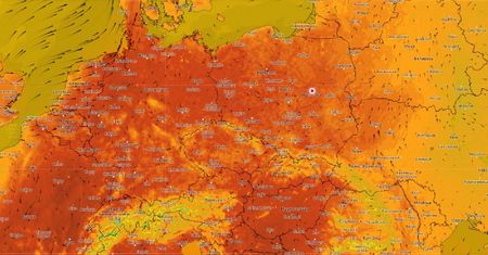 Do Polski wróci lato. Niewiarygodne prognozy synoptyków