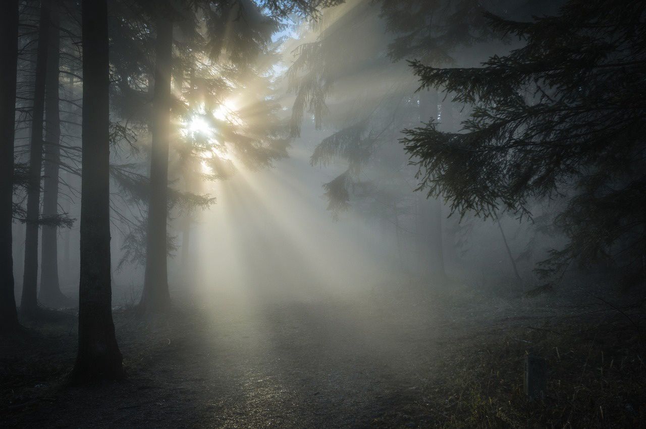 Elderly man stumbles upon €10,000 on Christmas Day walk, turns it over to Italian police