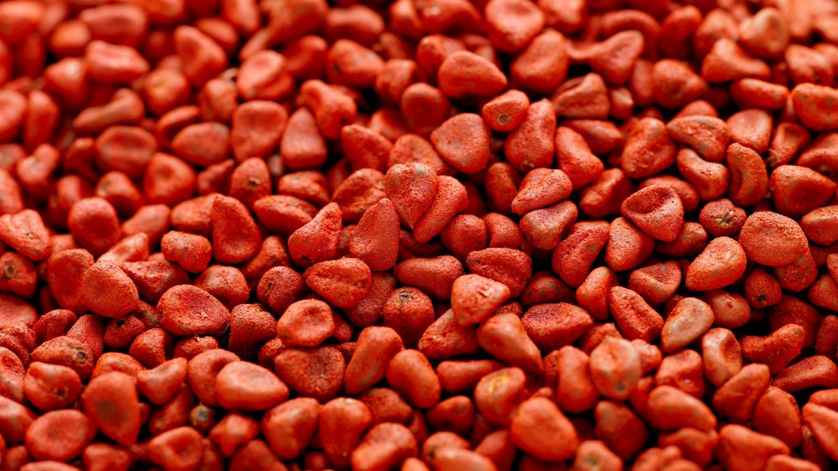 Regularne spożywanie achiote daje korzyści dla zdrowia.