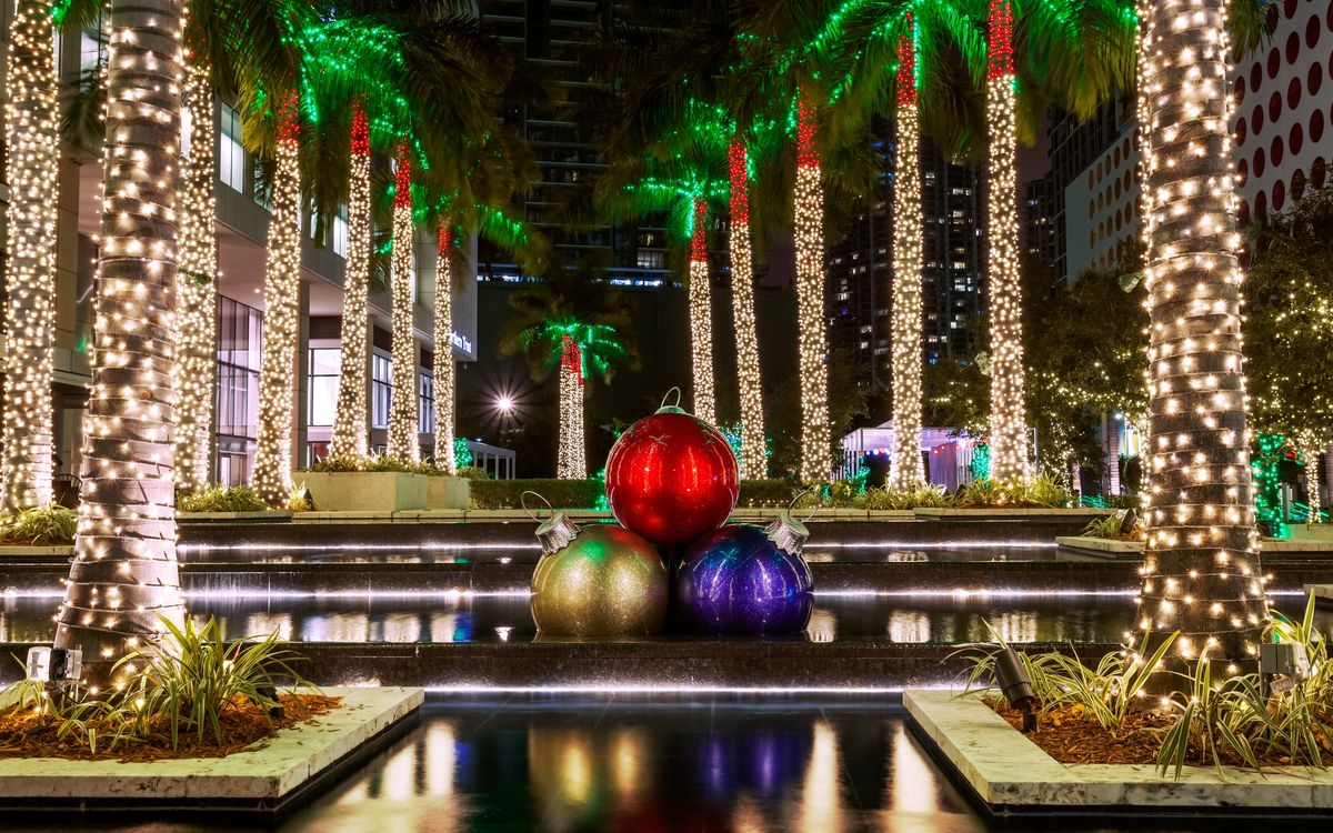Na Florydzie świąteczne światełka zdobią palmy