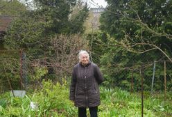 Warszawa. Obrońcy z Obrońców Pokoju. Działkowa społeczność murem za panią Hanią