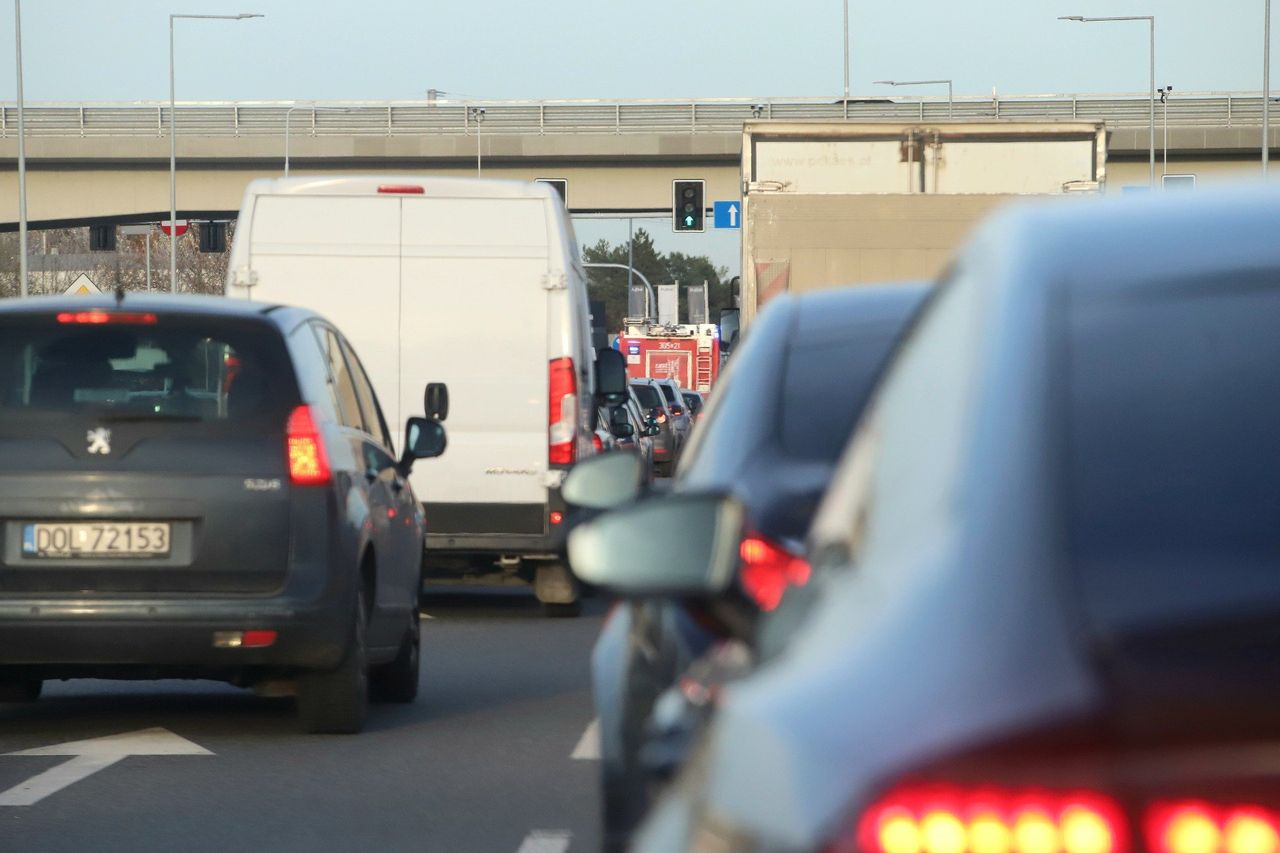 Wypadek na DK15. Chaos na drodze do Torunia po zderzeniu auta z łosiem. Kierowcy stracą 2 godziny