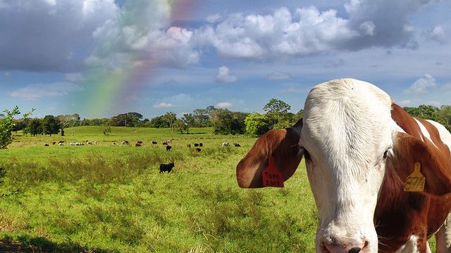 Balon na wysokości 22 km uratuje przed globalnym ociepleniem 1