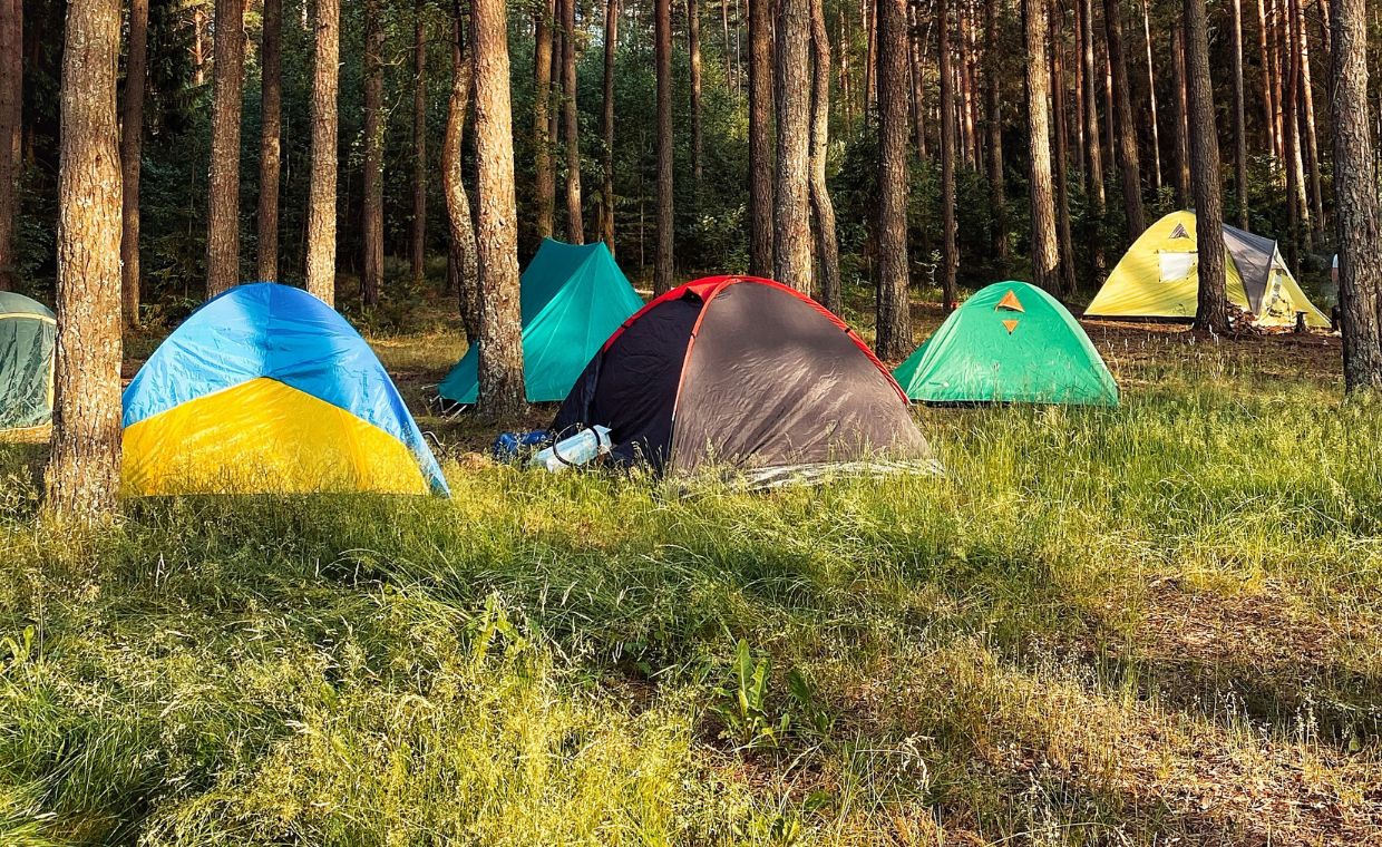 Namiot nad Bałtykiem luksusem? Turyści płacą nawet za psa i prysznic