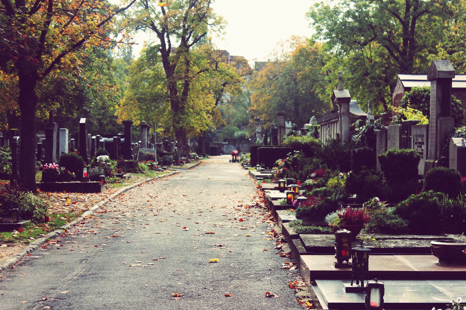 "Wyzysk" na cmentarzach. Tyle w Polsce kosztuje dwuosobowy grób