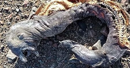 Przerażający stwór na plaży. "Ork z Władcy Pierścieni"