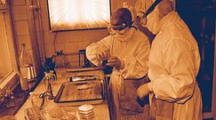 Dżuma - prawdopodobnie największa epidemia w historii