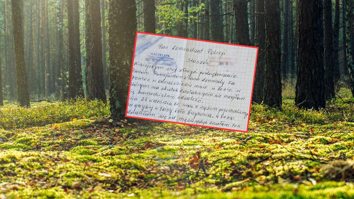 83-letnia kobieta zasłabła podczas zbierania grzybów