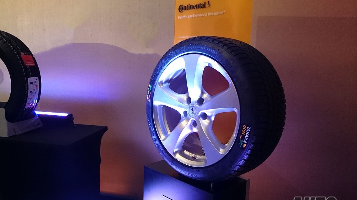 Zdjęcie ilustracyjne do artykułu