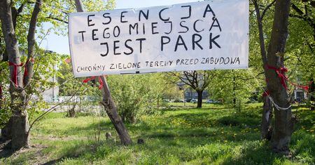 Gdańsk. Komisja do spraw zieleni na Dolnym Mieście