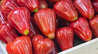 Trudno go znaleźć, ale gdy się uda, bierz od razu. Ten mało znany owoc to balsam dla jelit, a prawie nie ma kalorii