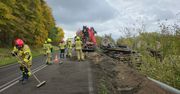 Gardno: Wypadek na DW151. Przewrócona przyczepa z drewnem