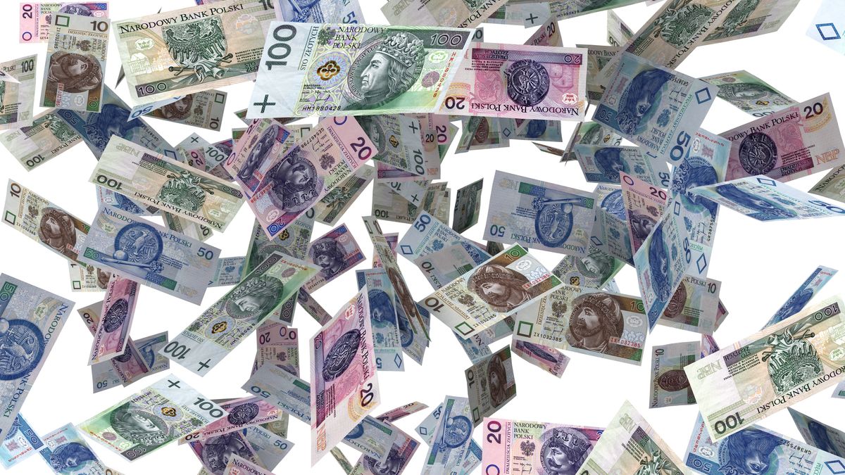 Mieszkanka Gdańska wyrzuciła 200 tys. zł 